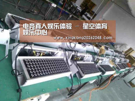 星空直播案例展示一
