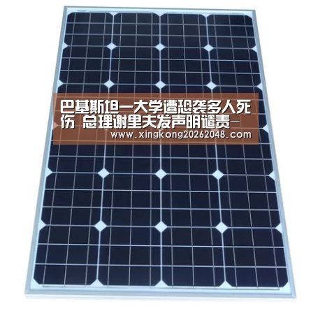 巴基斯坦一大学遭恐袭多人死伤 总理谢里夫发声明谴责-星空官方(图1) 星空官网
