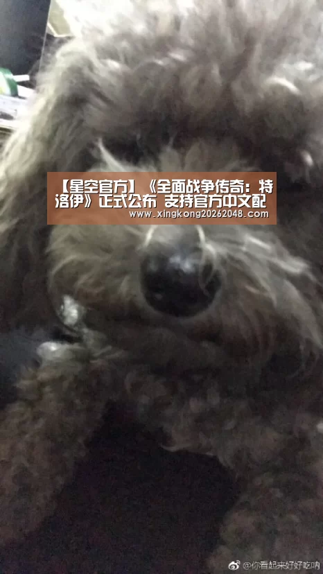 星空登录